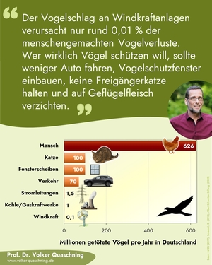 Statistik und Text: Der Vogelschlag an Windkraftanlagen verursacht nur rund 0,01% der menschengemachten Vogelverluste. Wer wirklich Vögel schützen will, sollte weniger Auto fahren, Vogelschutzfenster einbauen, keine Freigängerkatze halten und auf Geflügelfleisch verzichten.